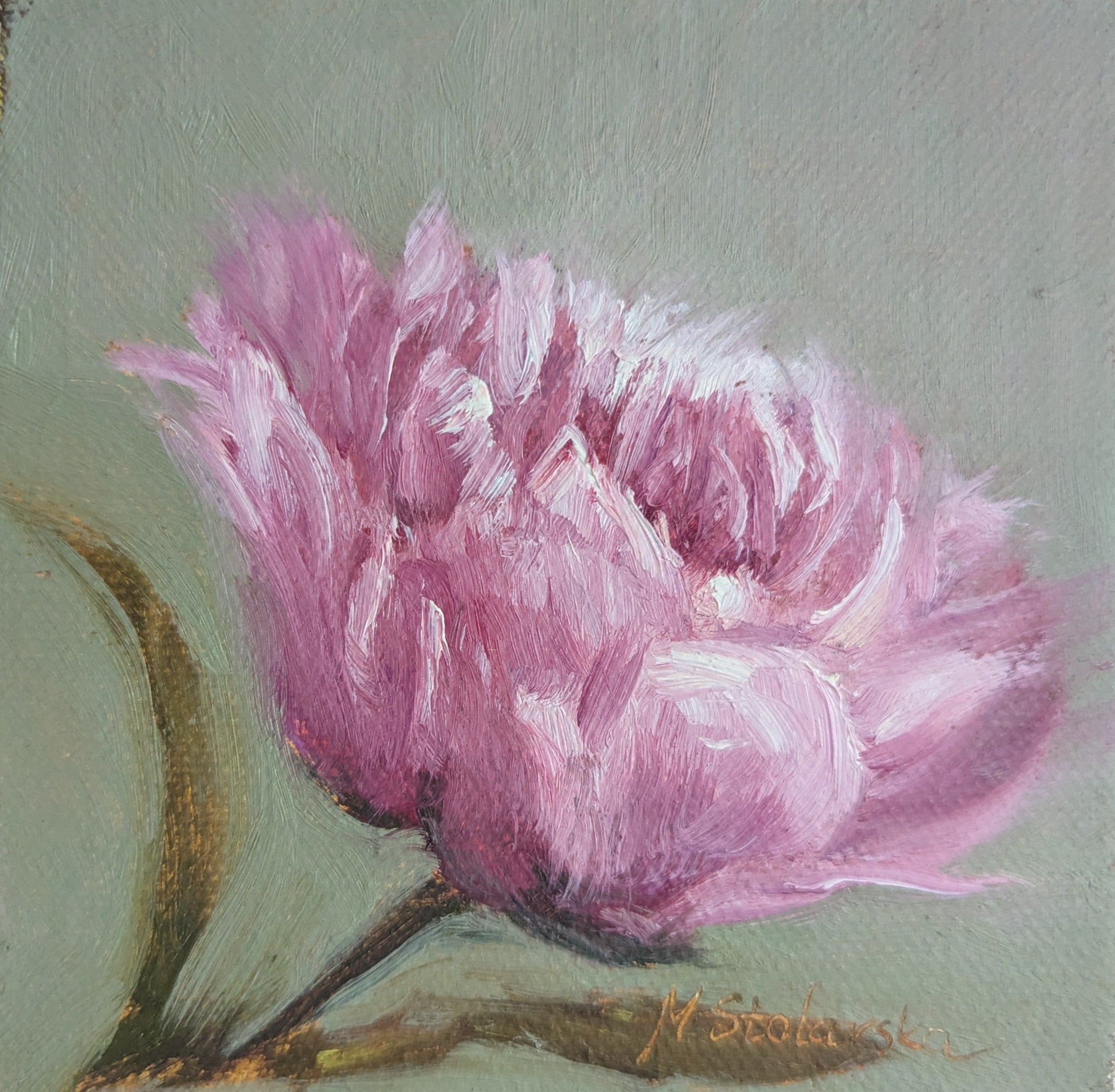 Painting of a pink flower on a green background. Original oil painting of a soft camellia flower, delicate layered petals in quiet elegant still life