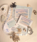 Coastal Mail Club original art subscription, receive original coastal artwork by post from Marta Stolarska. Greeting card, fine art print, stickers, stationery