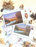 Coastal Mail Club original art subscription, receive original coastal artwork by post from Marta Stolarska. Greeting card, fine art print, stickers, stationery