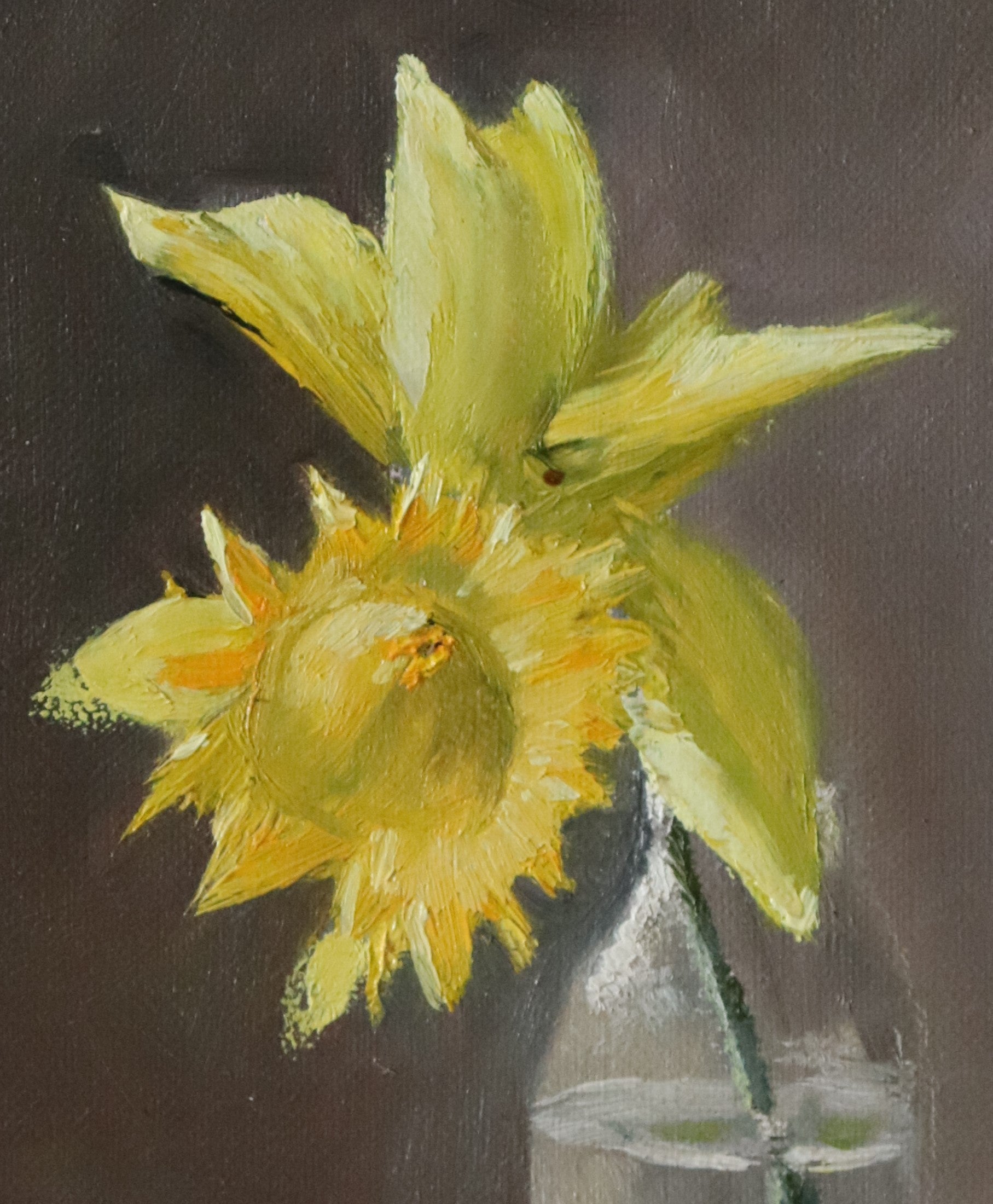 Close-up detail of One Daffodil is All You Need - yellow-gold daffodil petals glowing against a dark background, expressive oil brushwork on handmade linen board by Marta Stolarska