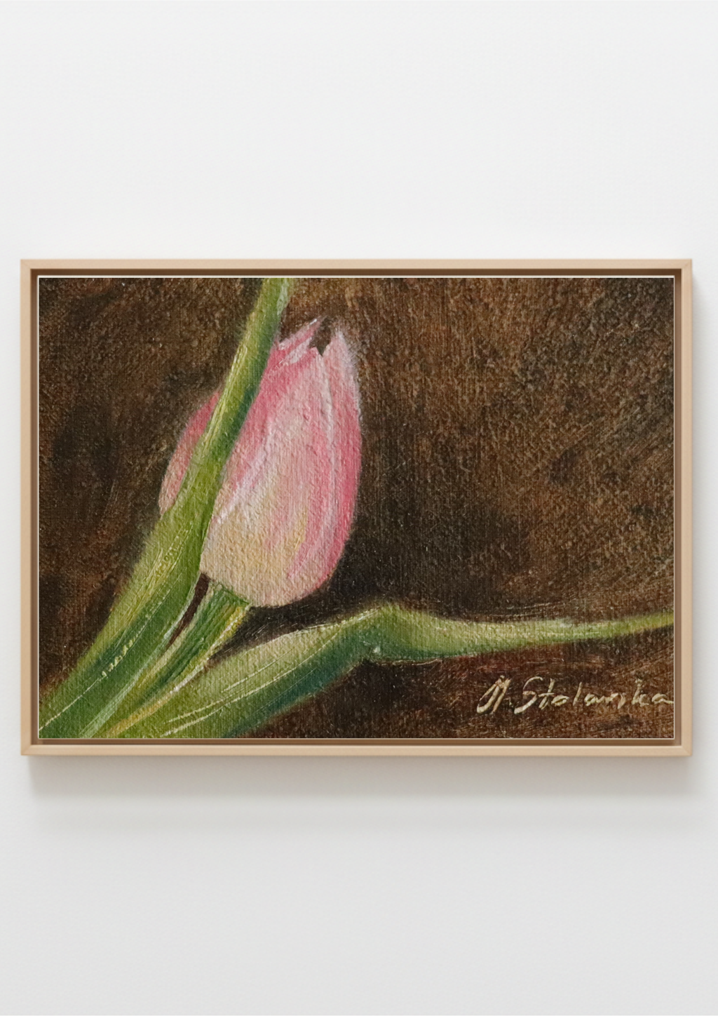 A framed pastel drawing of a pink tulip with green leaves on a dark brown textured background, mounted on a light gray wall. The First Sign of Spring - original oil painting by Marta Stolarska, a single pink tulip just opening against a warm golden-brown background, painted on handmade linen board, 10 x 15 cm