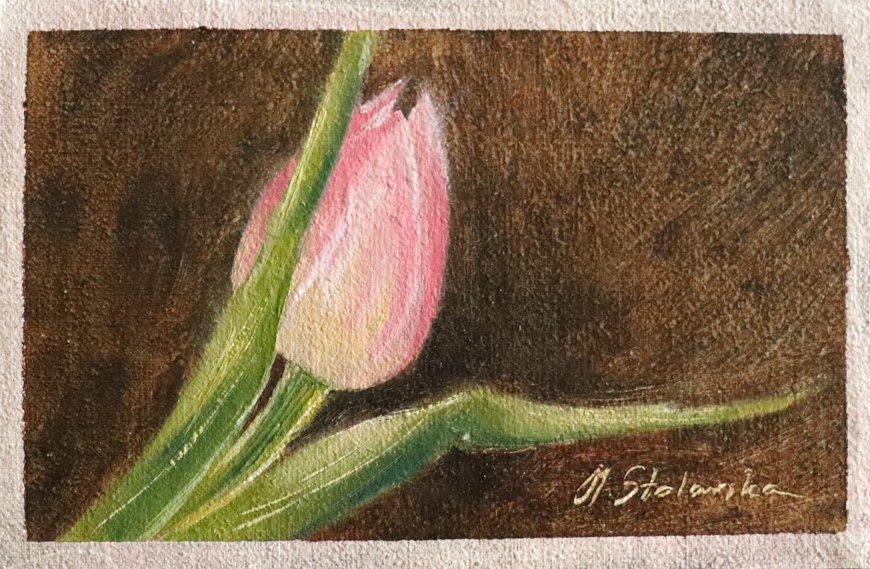 The First Sign of Spring - original oil painting by Marta Stolarska, a single pink tulip just opening against a warm golden-brown background, painted on handmade linen board, 10 x 15 cm