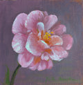 Original oil painting of a fragrant camellia, soft layered petals in warm light by Marta Stolarska
