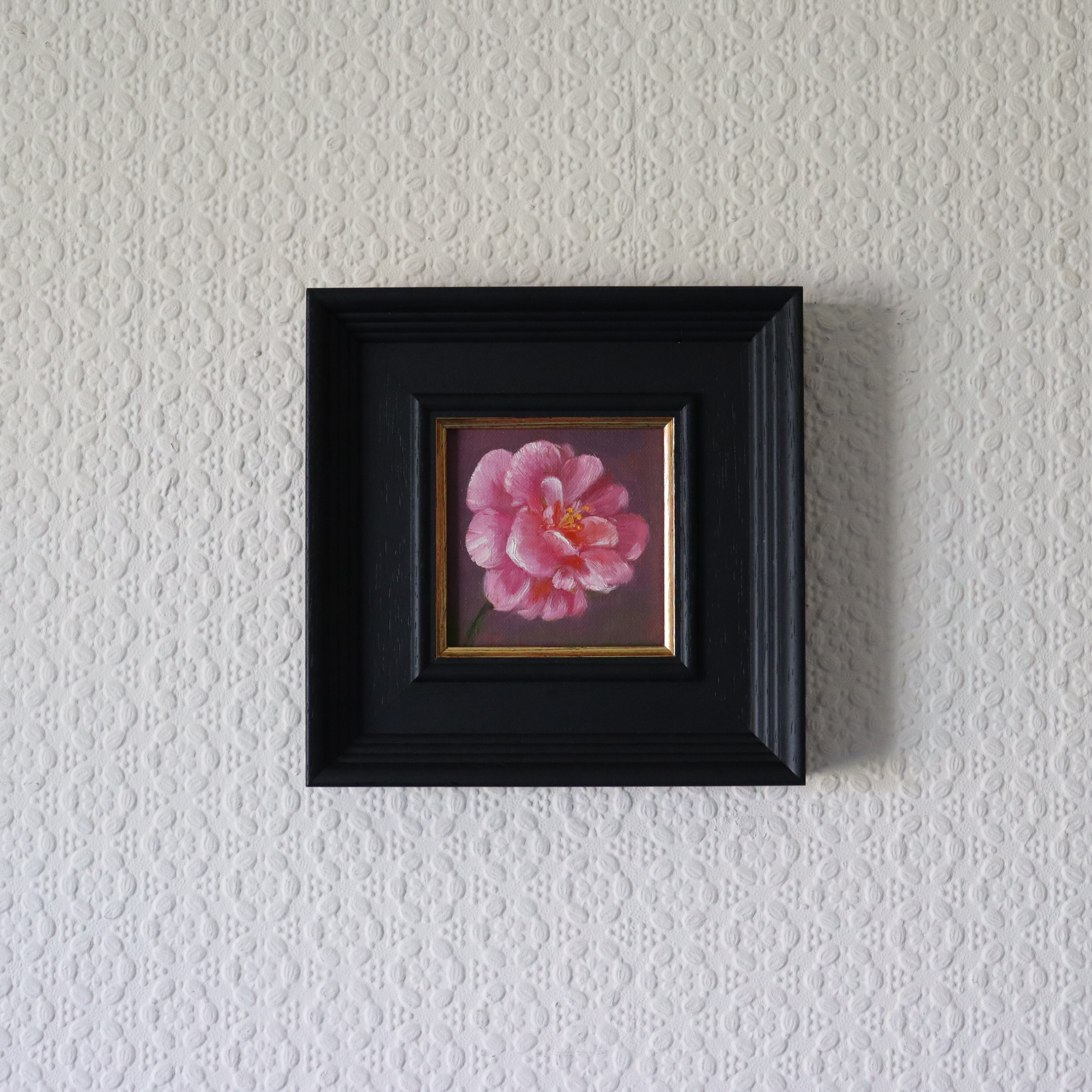 Framed painting of a pink flower on a textured white wall. Original oil painting of a fragrant camellia, soft layered petals in warm light by Marta Stolarska