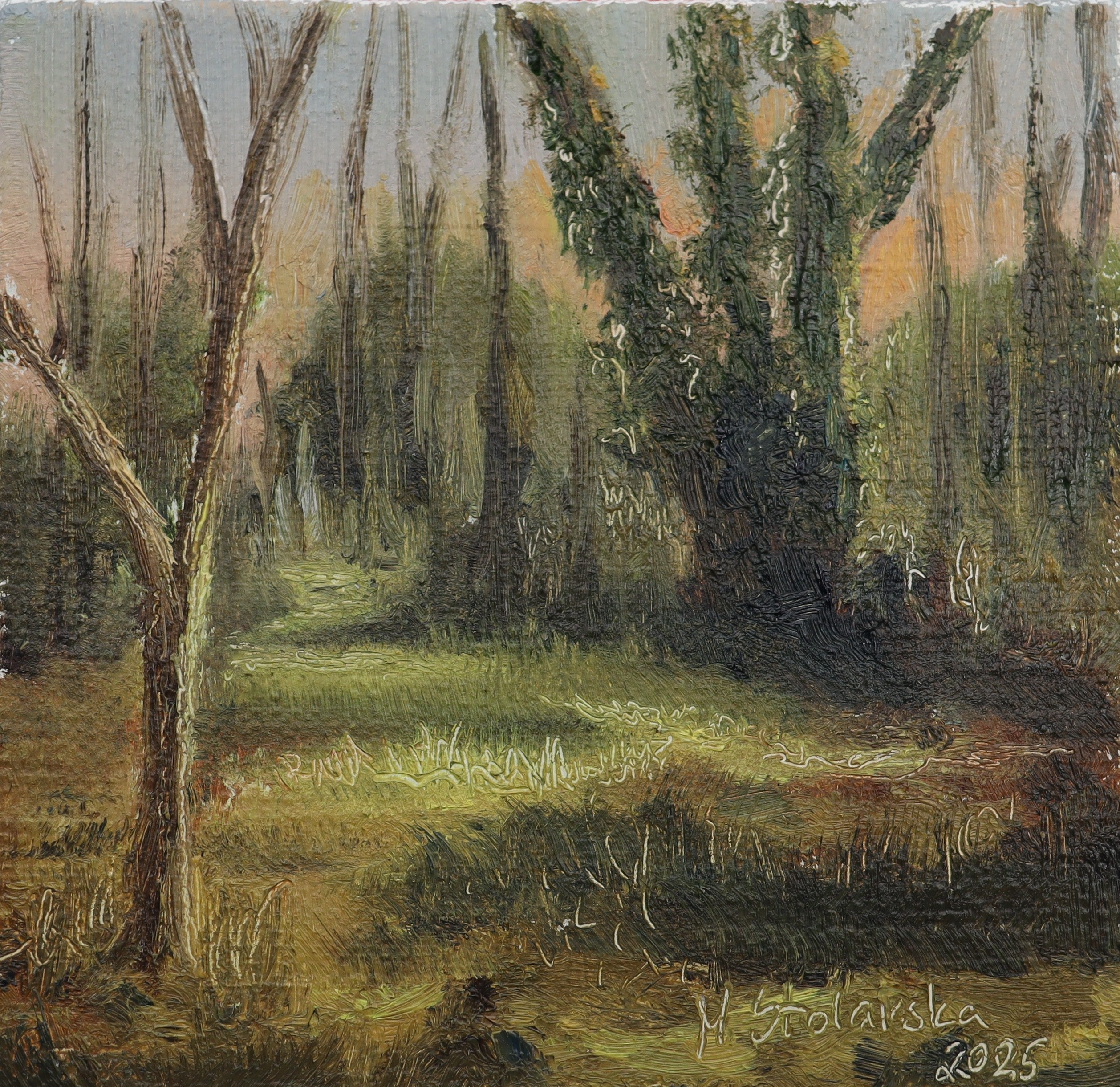 Original oil painting of Frankley Bog Lickey Hills Birmingham at dawn, hidden wetland with early morning light and birdsong