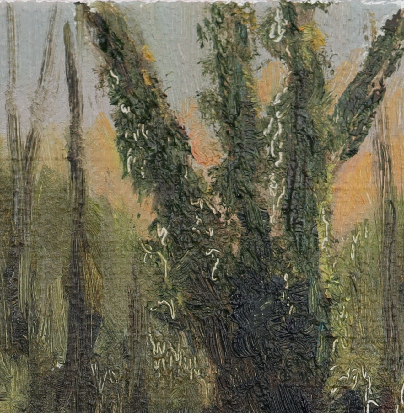 Close up of an Original oil painting of Frankley Bog Lickey Hills Birmingham at dawn, hidden wetland with early morning light and birdsong