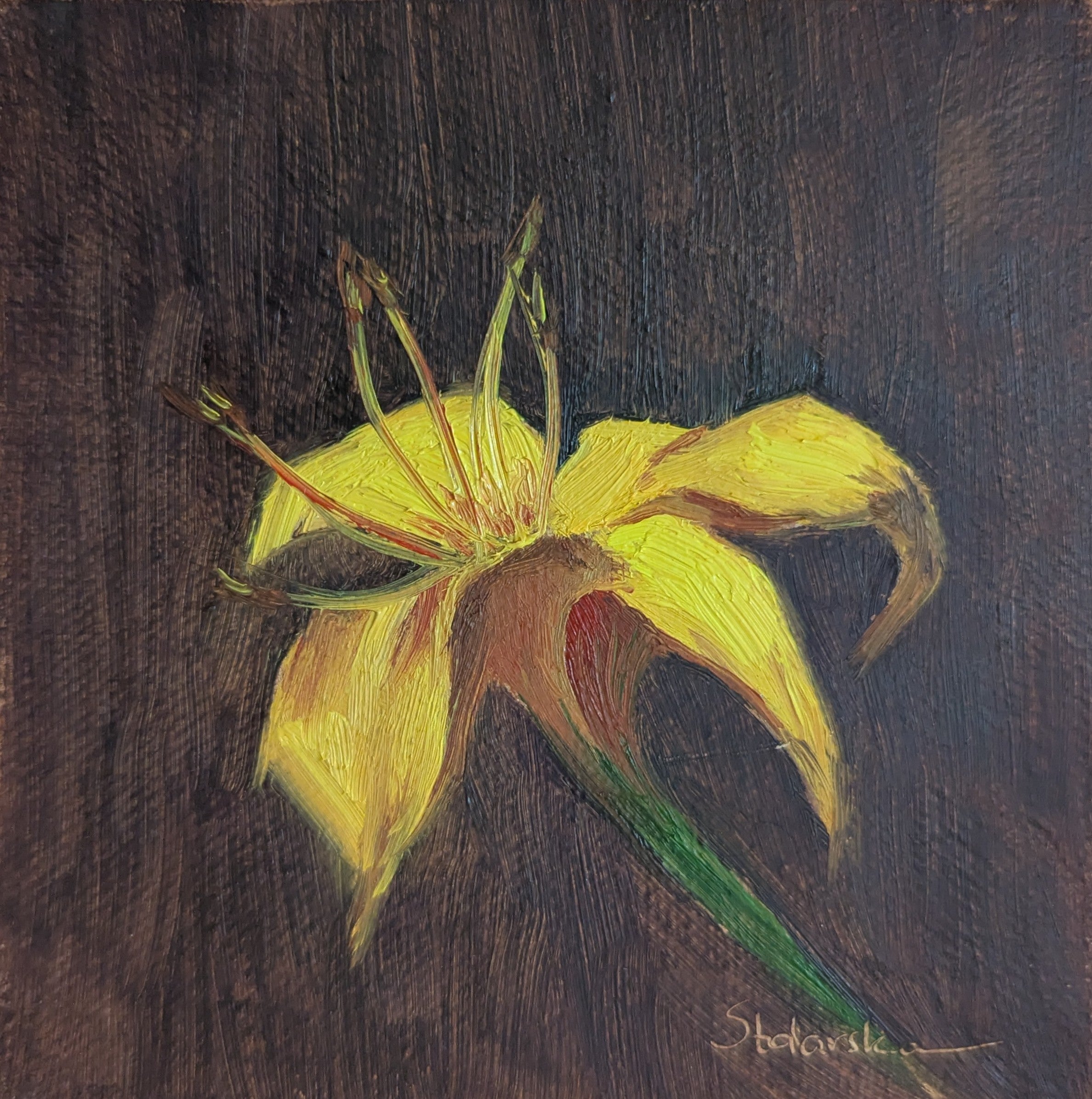 Original oil painting of a yellow lily, vibrant floral still life by Marta Stolarska Fine Art