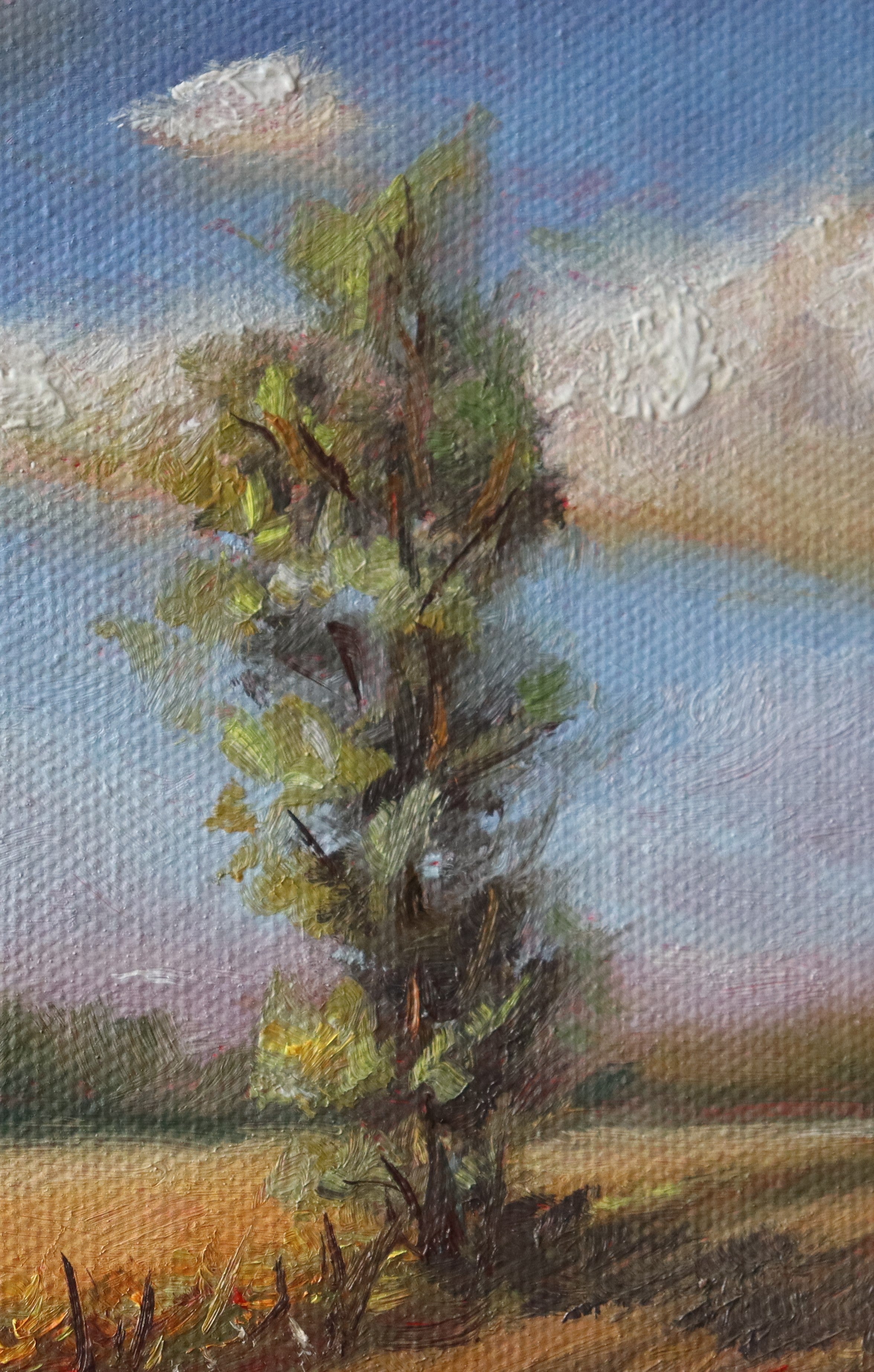 Original oil painting looking towards the east, open landscape with wide sky by Marta Stolarska Fine Art