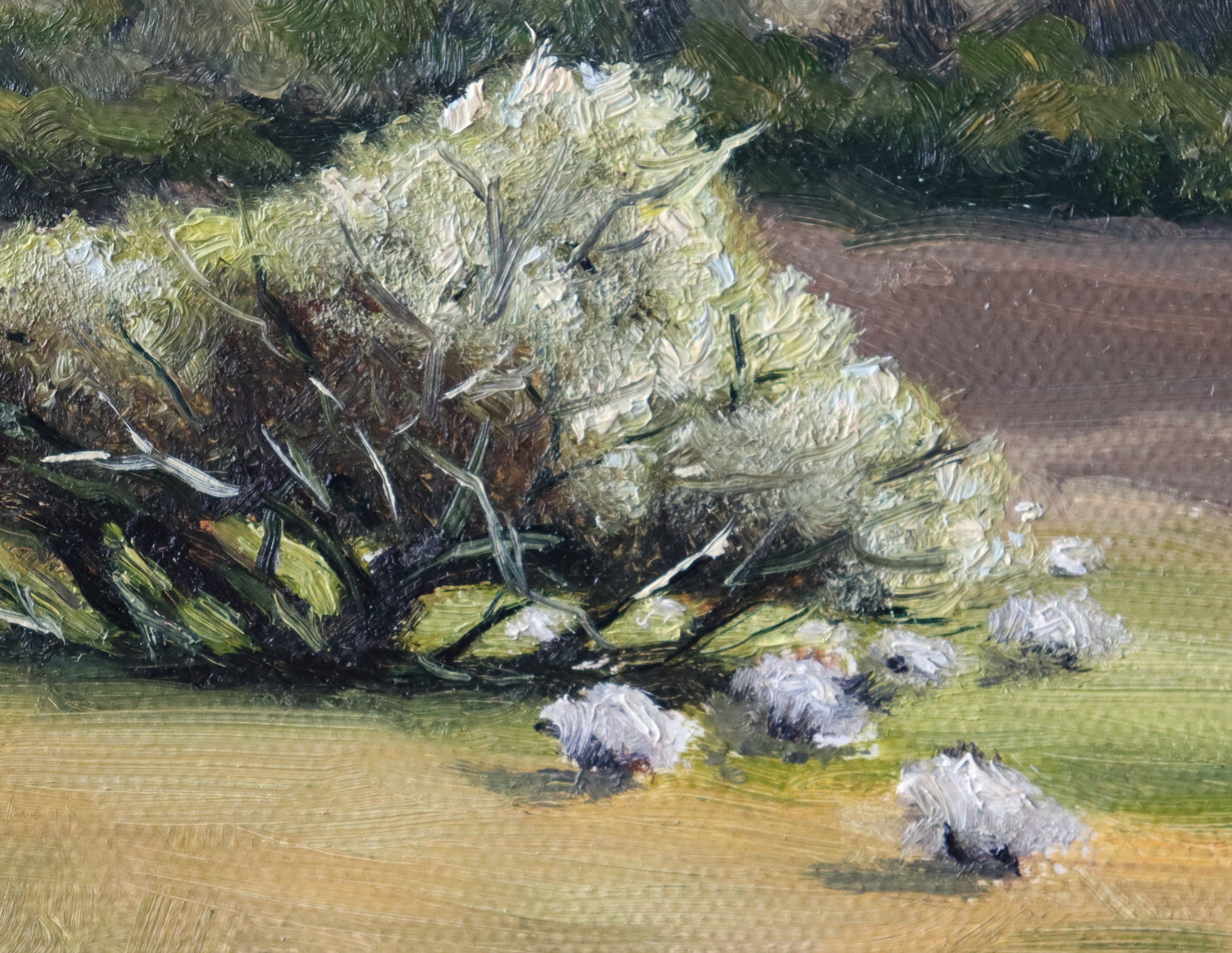 Artistic depiction of trees and landscape with a focus on texture and color.