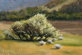 Painting of a bush with sheep grazing in a field.Original oil painting of cattle or sheep grazing with a view over open landscape, Suffolk countryside