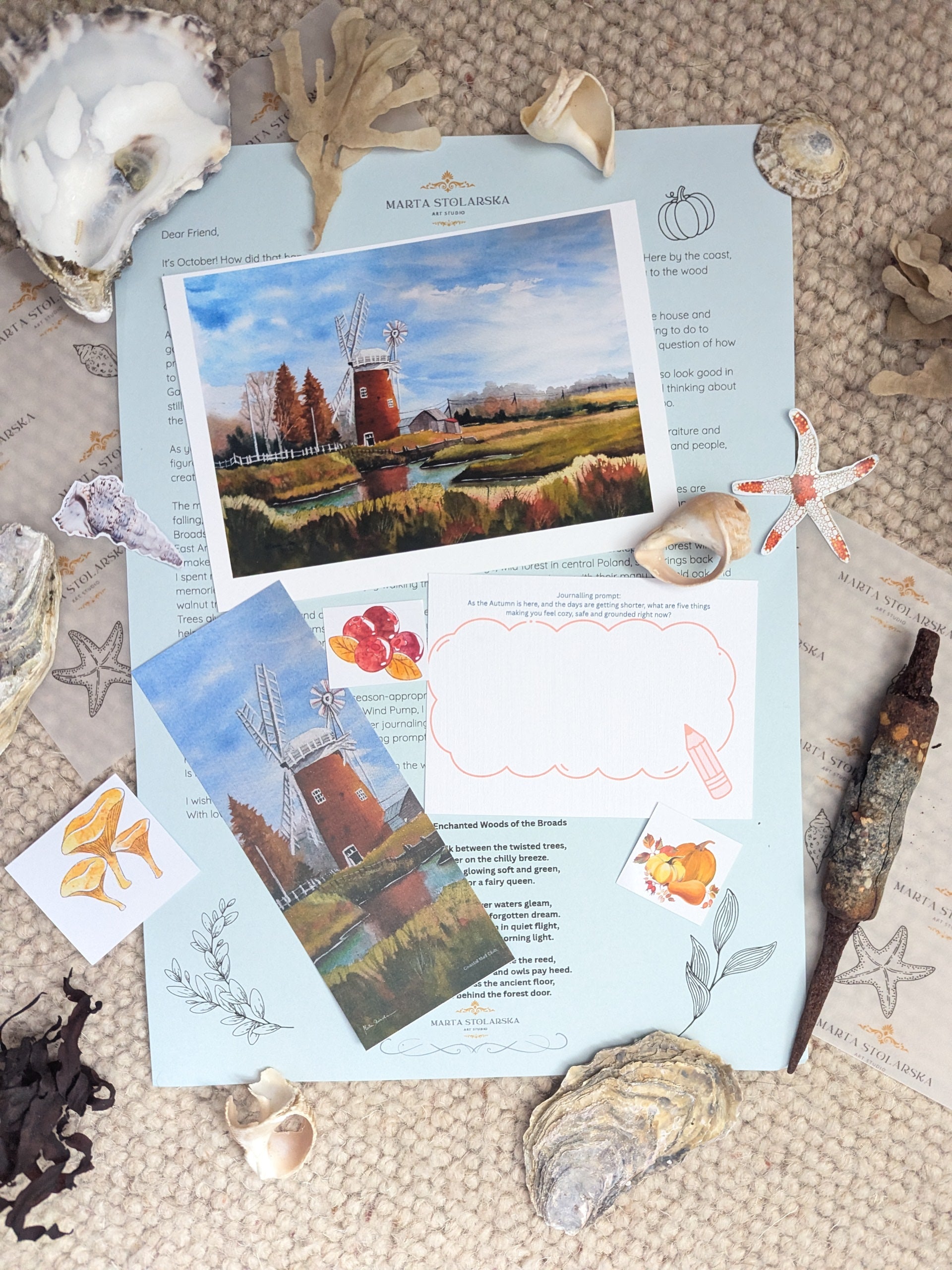 A styled flat-lay of printed cards and postcards featuring beach and nautical illustrations, surrounded by seashells, starfish, driftwood, and dried coral on a light cream background. The cards show blue ocean scenes, topographic line drawings, and starfish motifs.