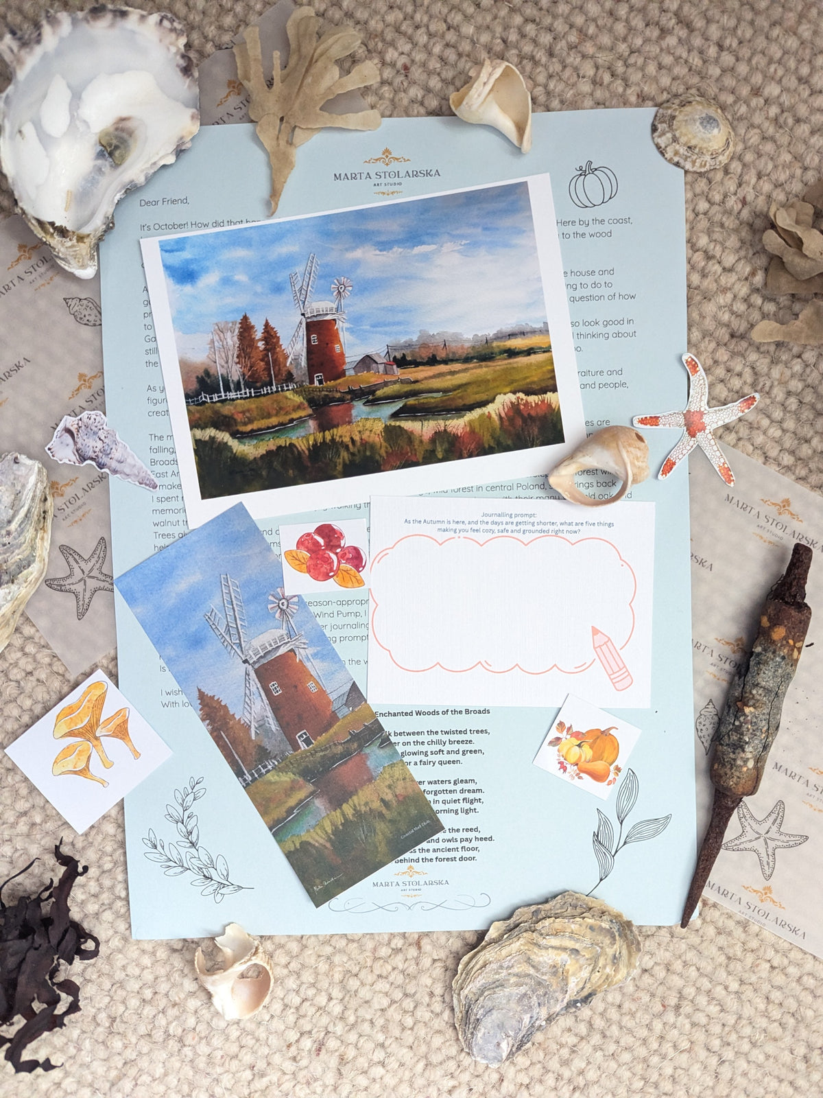 A styled flat-lay of printed cards and postcards featuring beach and nautical illustrations, surrounded by seashells, starfish, driftwood, and dried coral on a light cream background. The cards show blue ocean scenes, topographic line drawings, and starfish motifs.