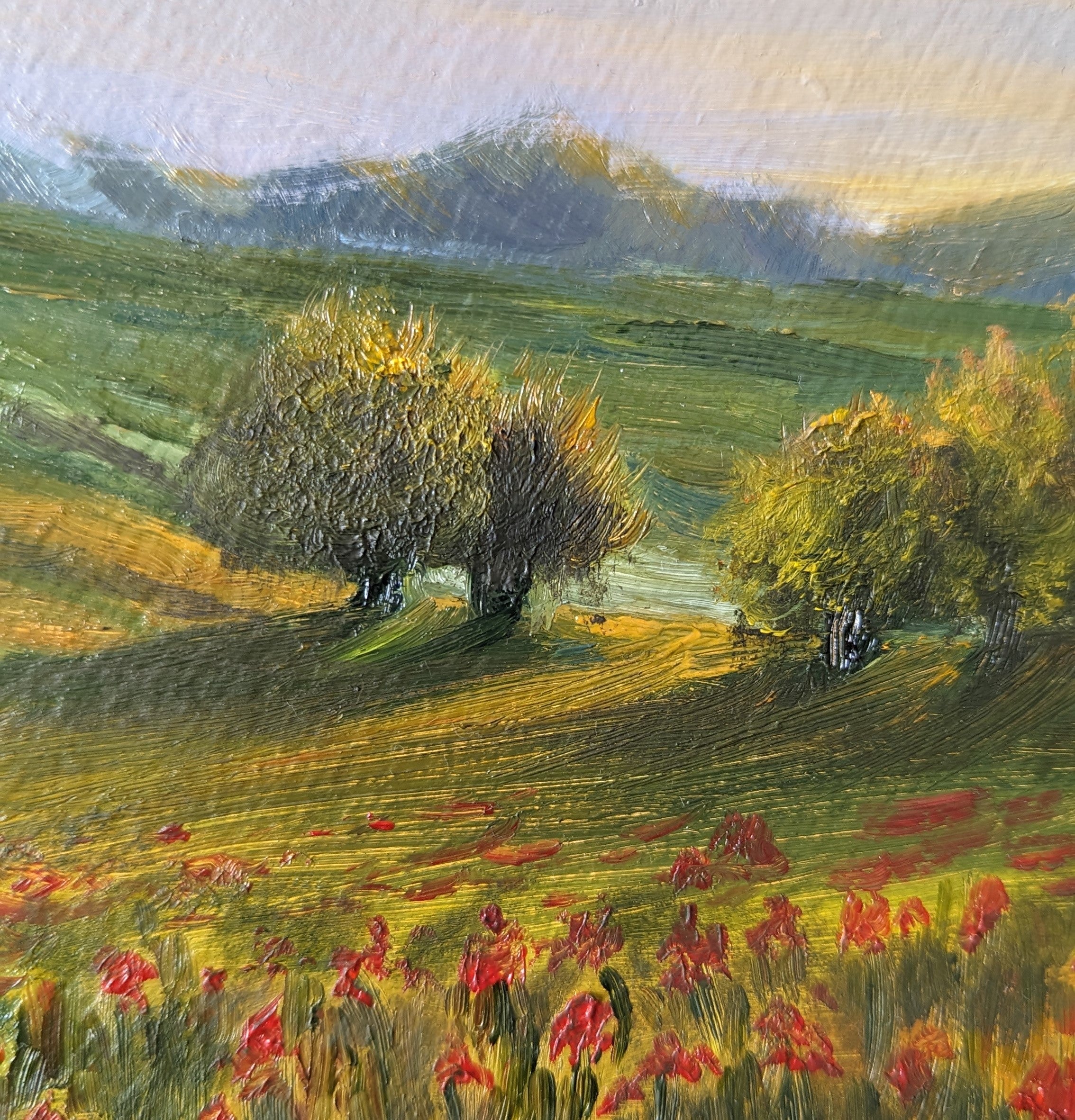 Original round oil painting of a summer evening in central Poland with poppies and setting sun, childhood memory, 30cm