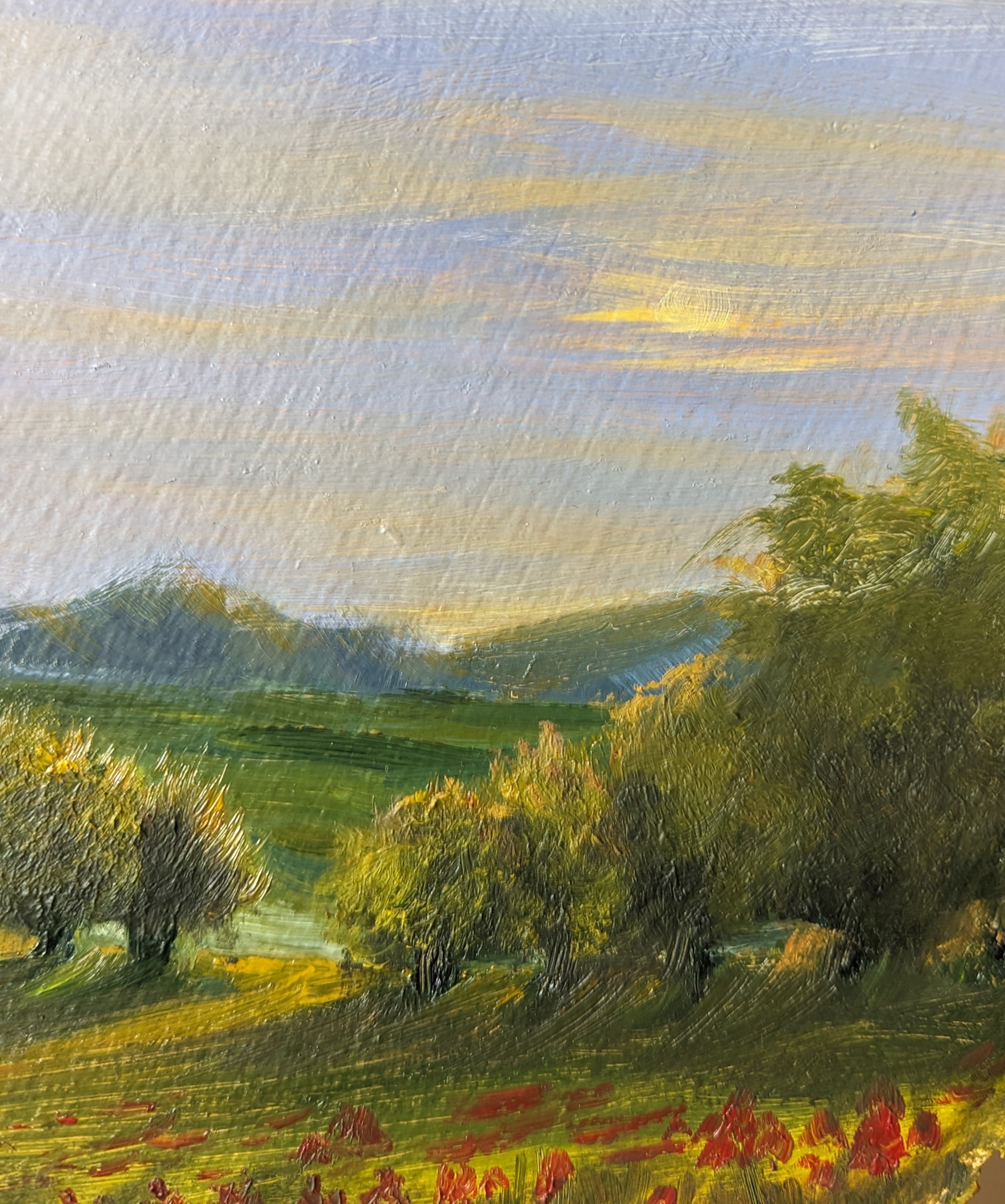 Painting of a landscape with trees, hills, and a sky with clouds. Original round oil painting of a summer evening in central Poland with poppies and setting sun, childhood memory, 30cm