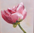 Original oil painting of a single peony flower, lush petals in a floral still life by Marta Stolarska