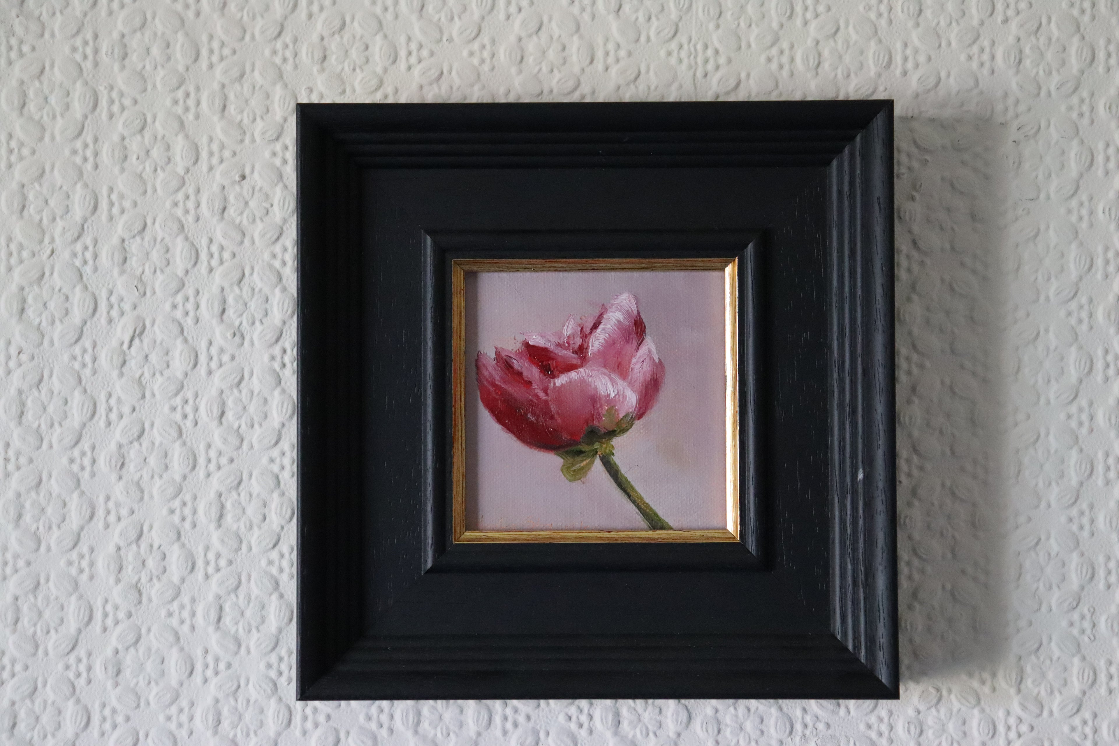 Small framed artwork of a pink flower on a textured white wall. Original oil painting of a single peony flower, lush petals in a floral still life by Marta Stolarska