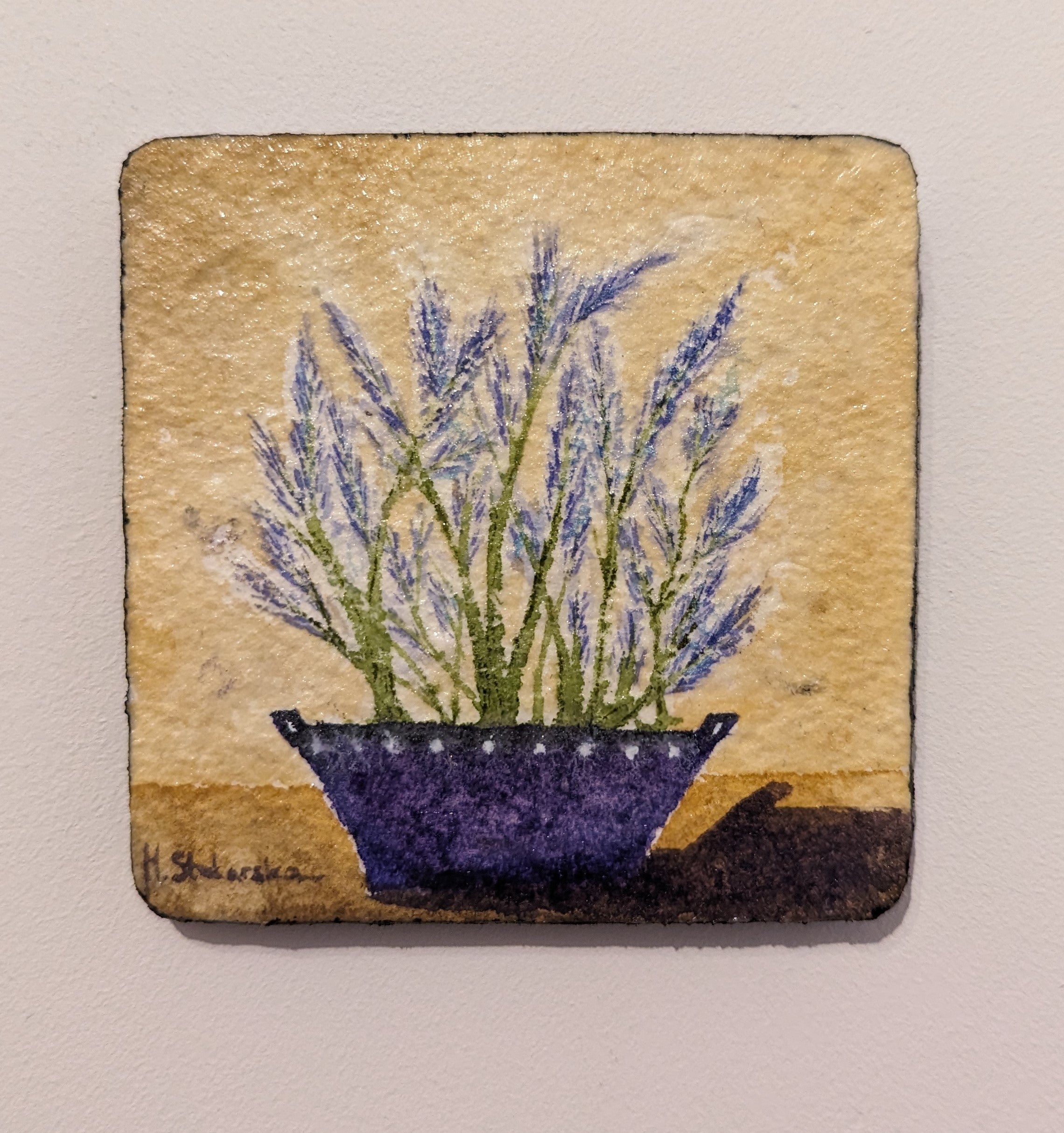 Lavender