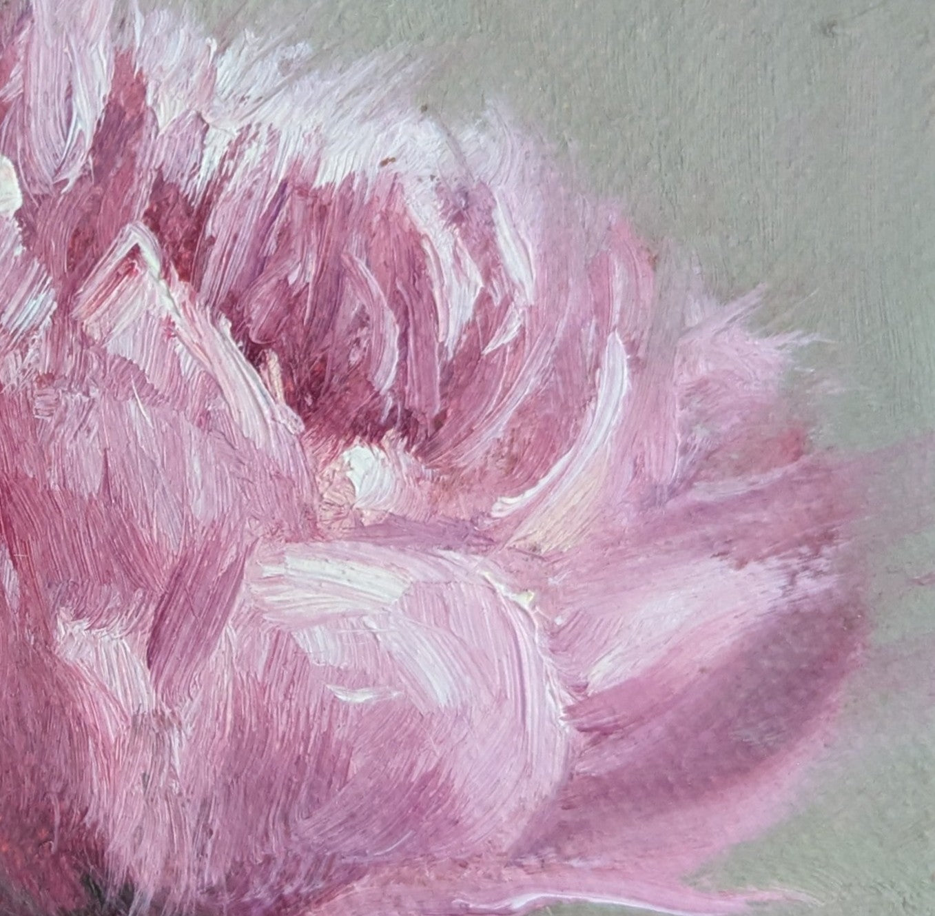 Painting of a pink flower on a green background. Original oil painting of a soft camellia flower, delicate layered petals in quiet elegant still life