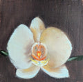 Original oil painting of a summer orchid, elegant tropical flower in a still life by Marta Stolarska