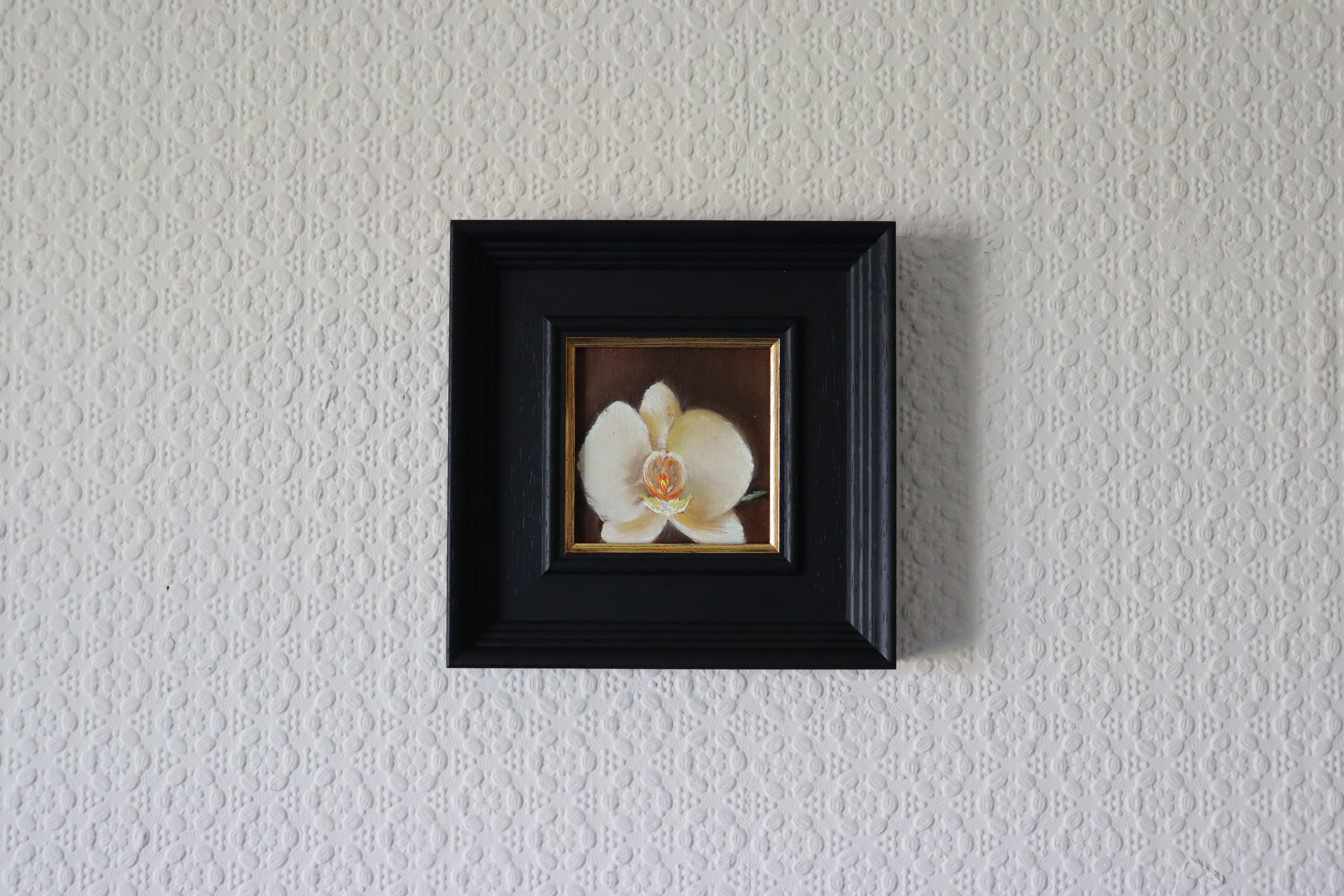 Framed white flower on a textured wall. Original oil painting of a summer orchid, elegant tropical flower in a still life by Marta Stolarska