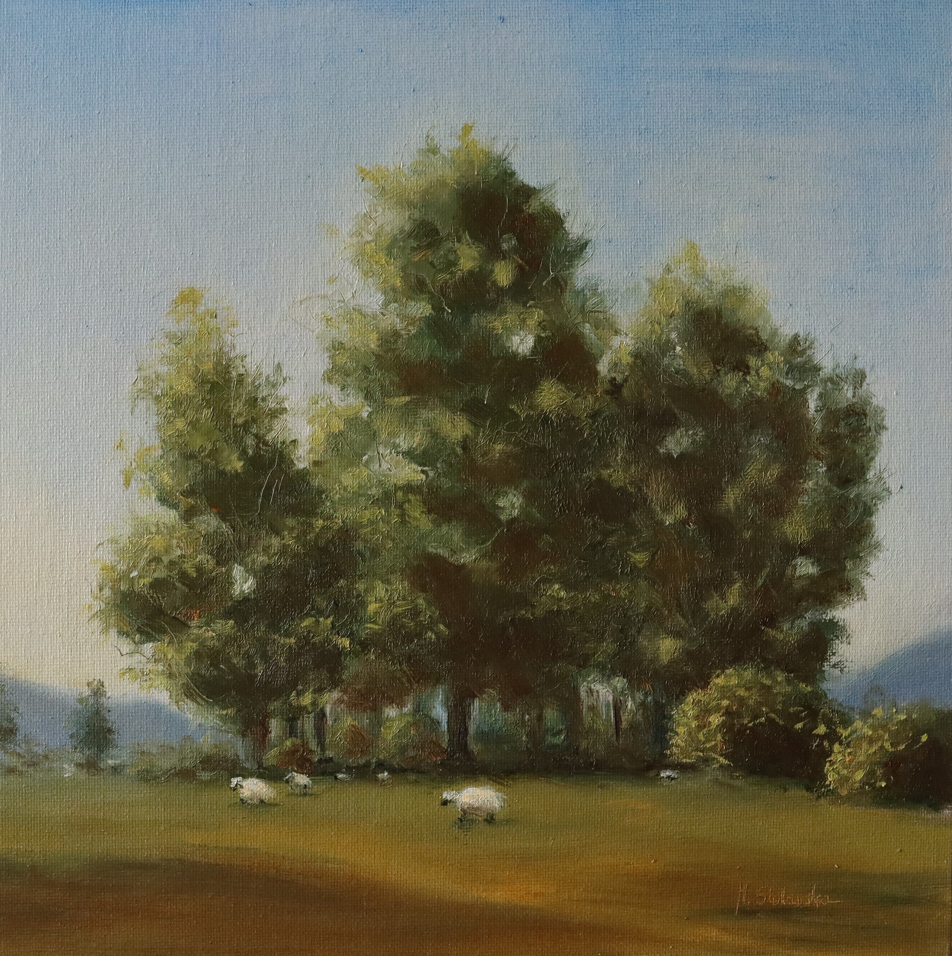 Painting of trees and sheep in a field with a clear sky.Painting by a local artist. Original oil painting of tall trees and sheep in Suffolk landscape, painted on a dog walk, golden frame