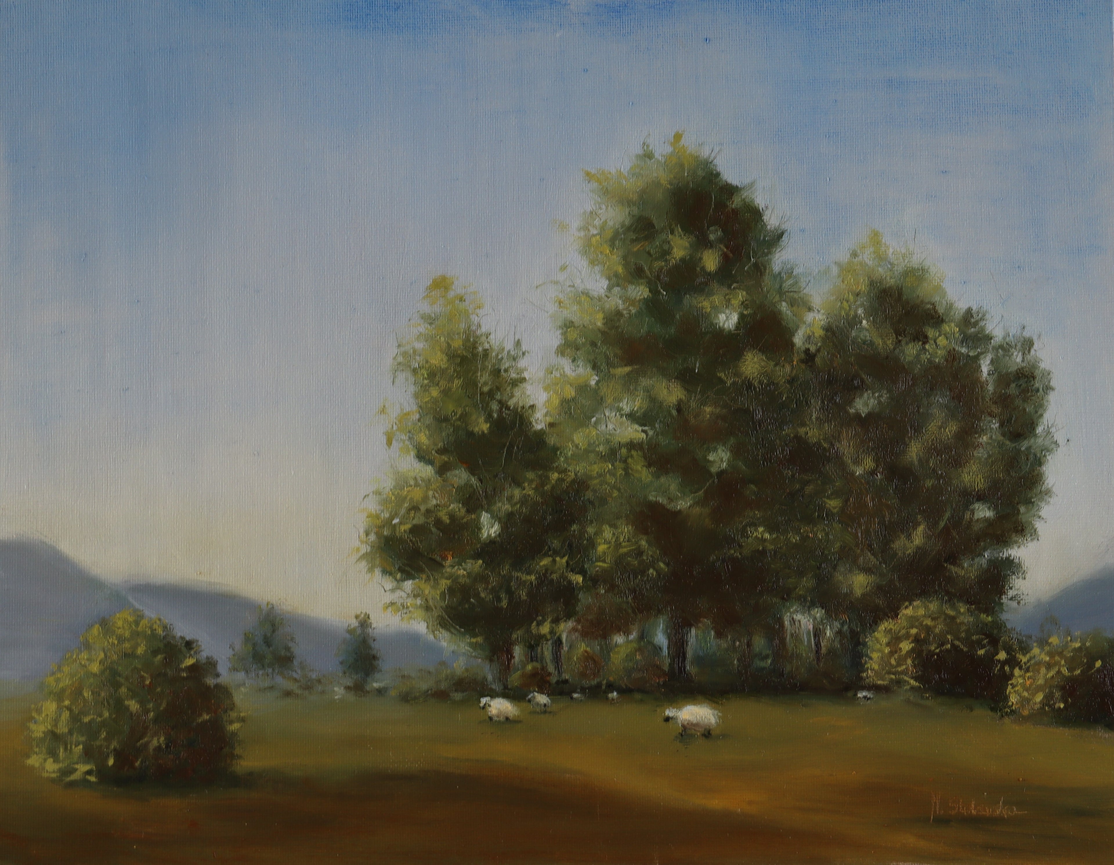 Painting by a local artist. Original oil painting of tall trees and sheep in Suffolk landscape, painted on a dog walk, golden frame