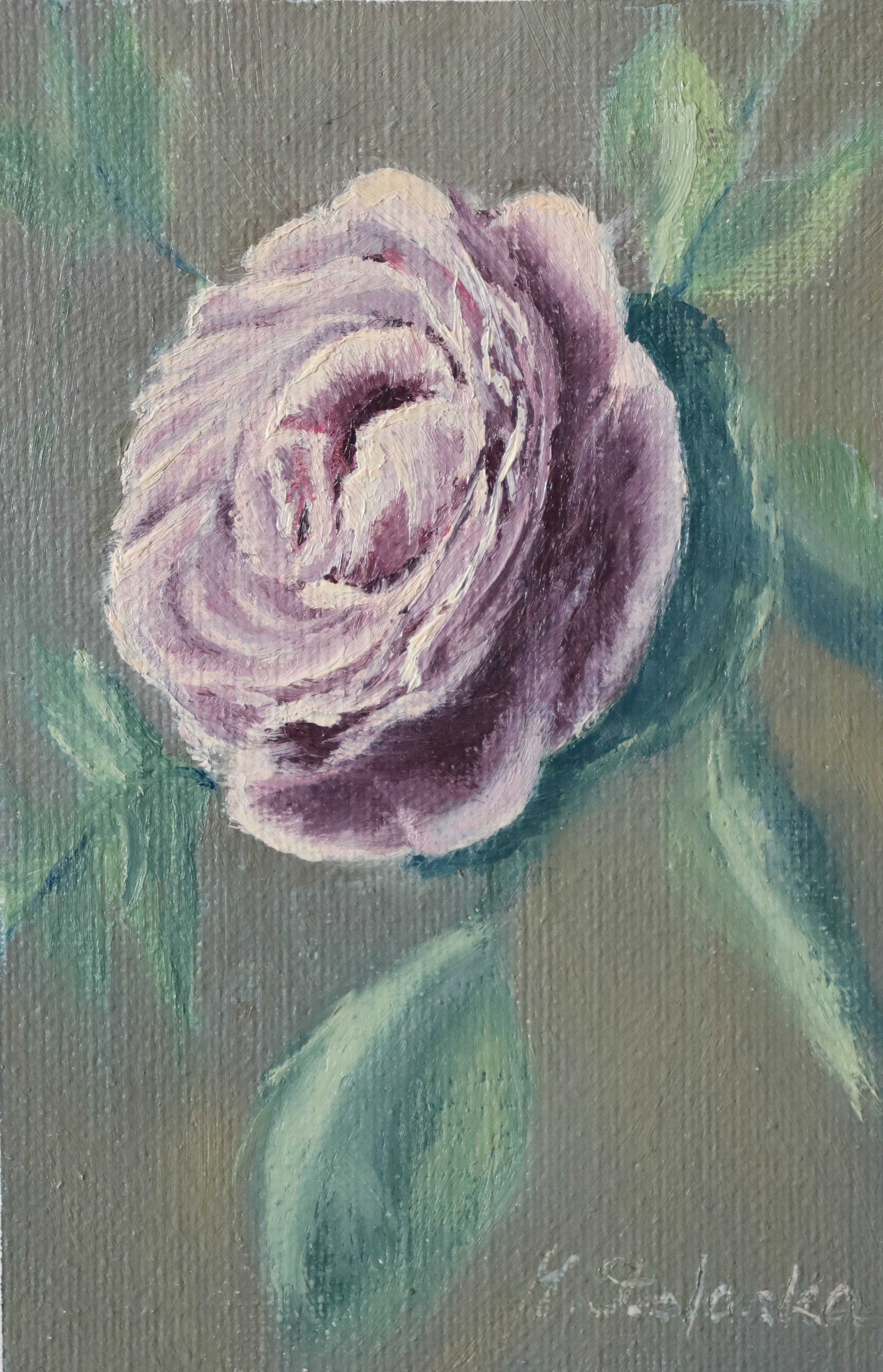 The Cottage Rose - original oil painting by Marta Stolarska, a full-petalled purple-mauve ranunculus rose against a sage green background, painted on handmade linen board, 10 x 15 cm