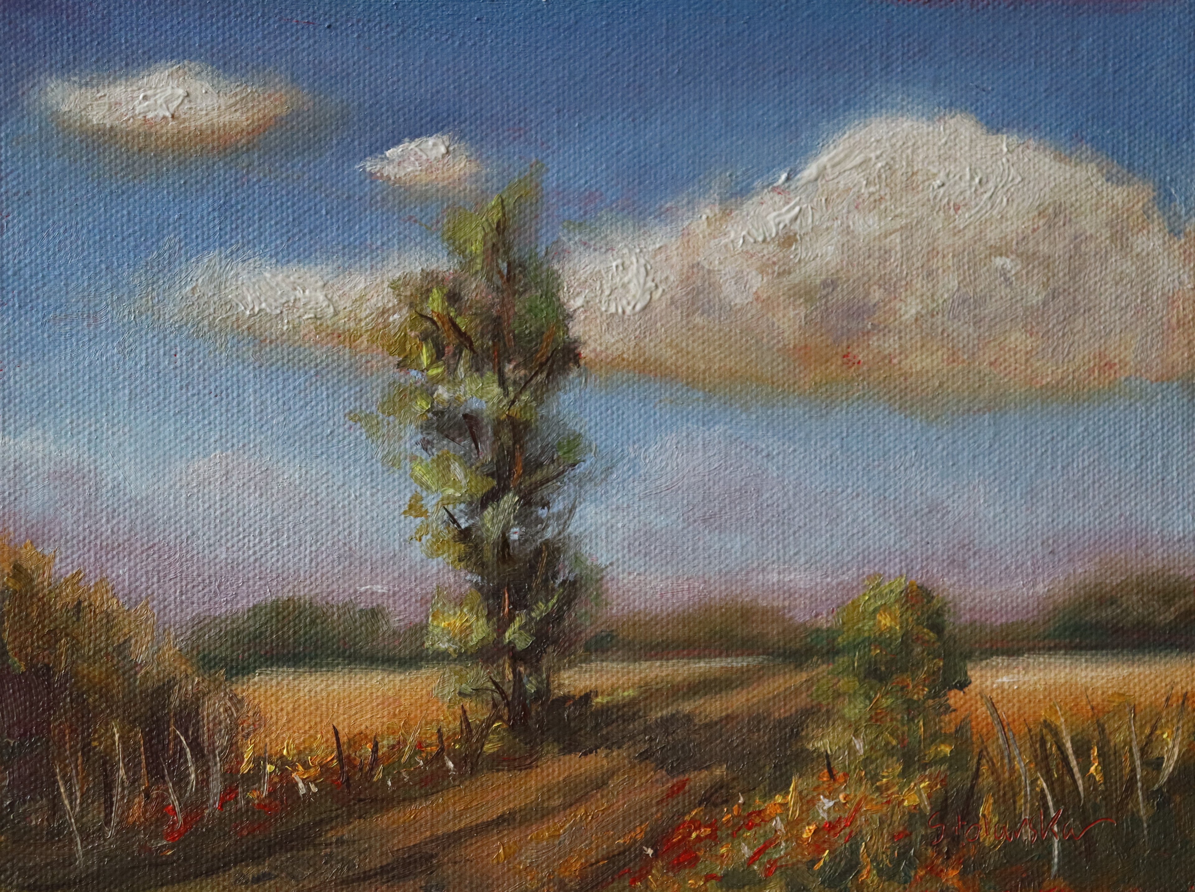 Original oil painting looking towards the east, open landscape with wide sky by Marta Stolarska Fine Art