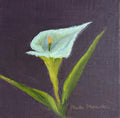 Original oil painting of a white calla lily, sculptural flower in a minimal elegant still life