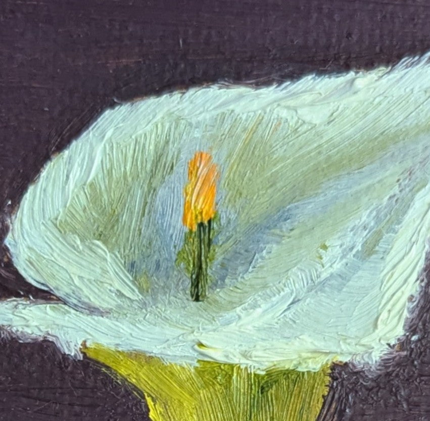 Original oil painting of a white calla lily, sculptural flower in a minimal elegant still life
