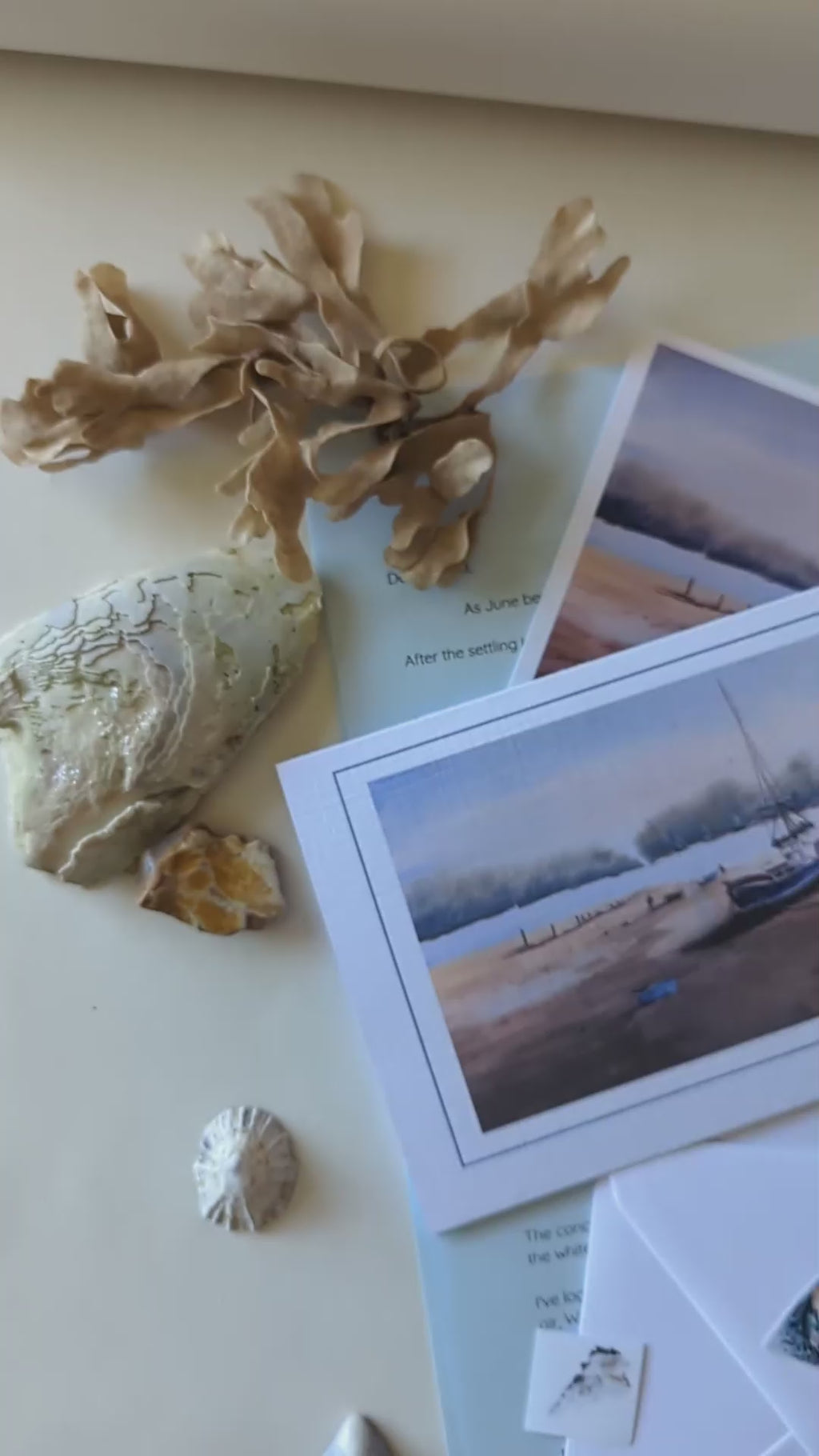 Coastal Mail Club original art subscription, receive original coastal artwork by post from Marta Stolarska. Greeting card, fine art print, stickers, stationery - slow mo video showing all the inclusions 